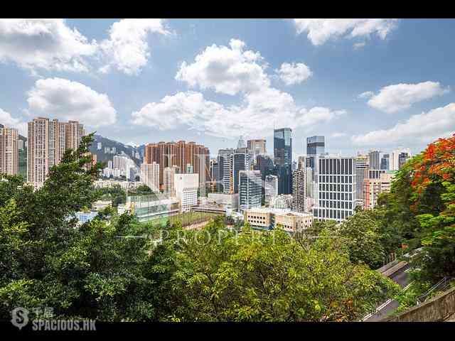 大坑 - 宏丰台5号 01