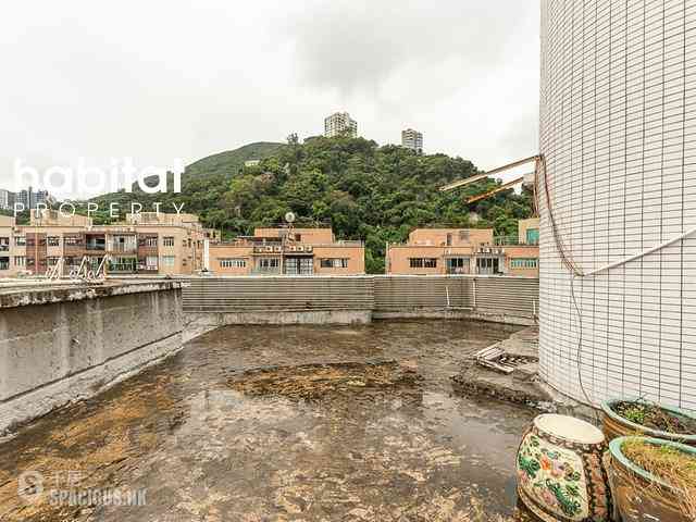 司徒拔道 - 肇輝臺花園 13