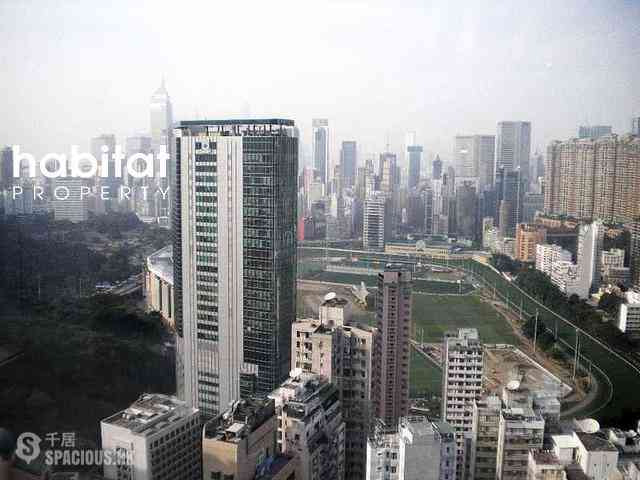 跑马地 - 纪云峰 02