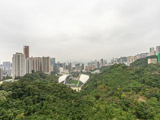 跑马地 - 渣甸山花园大厦 02