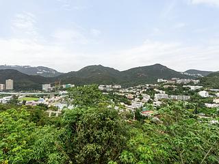 Wong Chuk Hang - Manly Villa 16