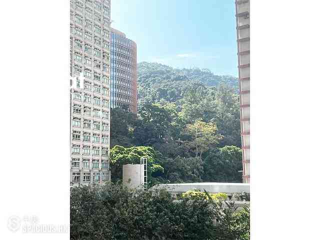 Shek Tong Tsui - The Belcher's 02
