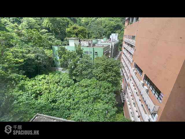 東半山 - 慧景台B座 12