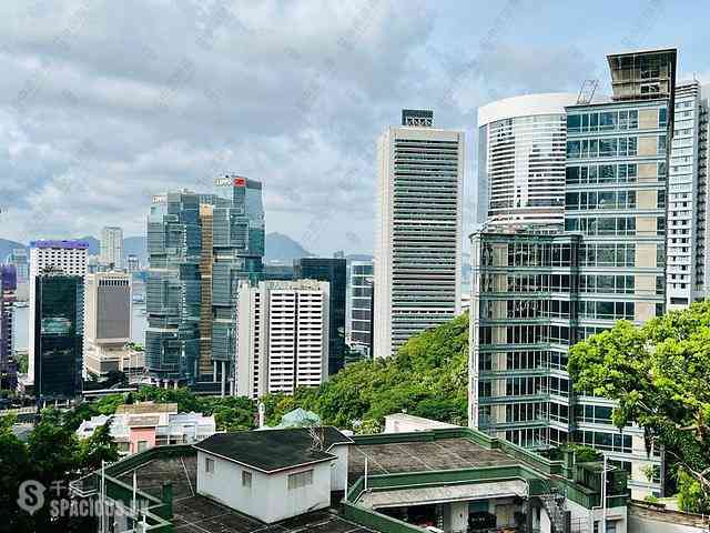 Mid Levels Central - Best View Court Block 68, Macdonnell Road 12