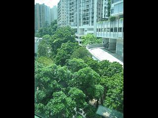 Wan Chai - Royal Court 15