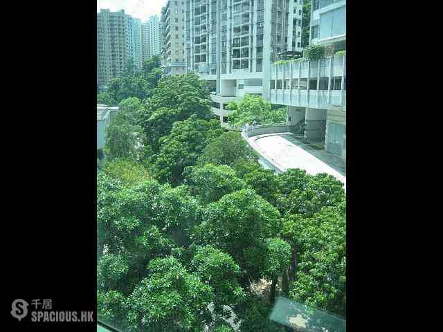 Wan Chai - Royal Court 15