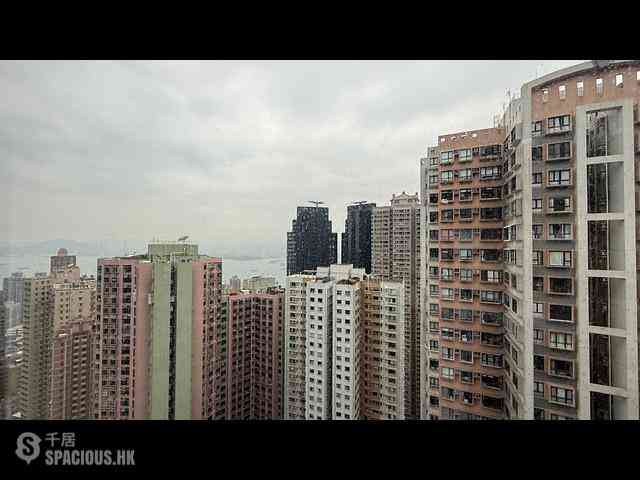Mid Levels Central - Scenecliff 04