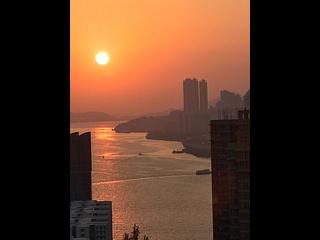 紅磡 - 半島豪庭 03