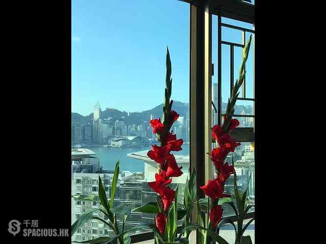 紅磡 - 半島豪庭 05