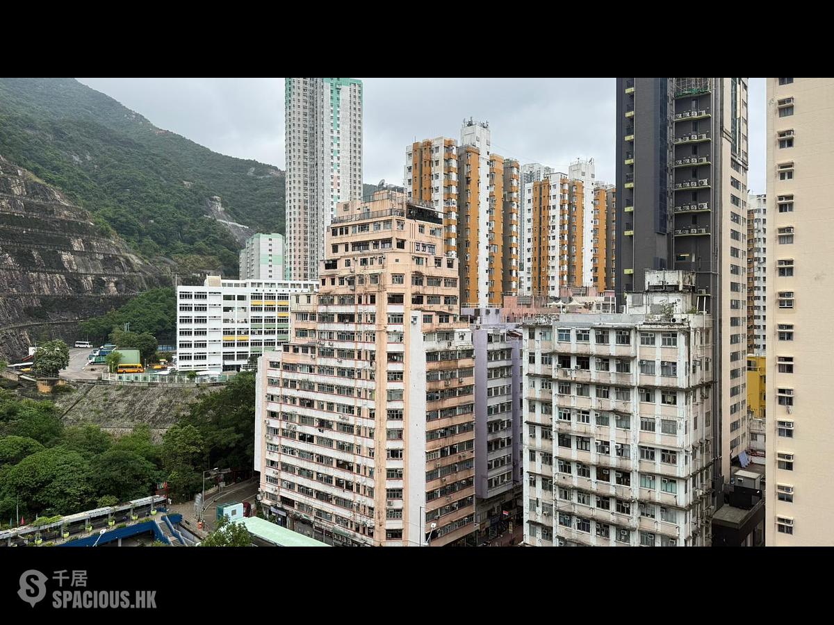 Shau Kei Wan - Lime Gala 01
