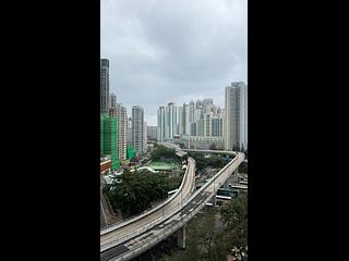 Shau Kei Wan - Lime Gala 02