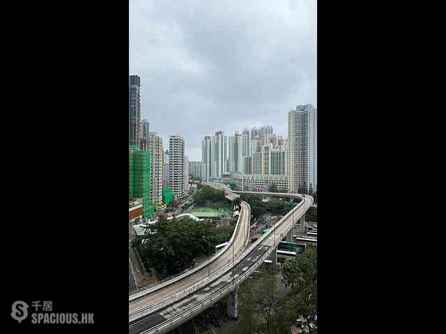 Shau Kei Wan - Lime Gala 02