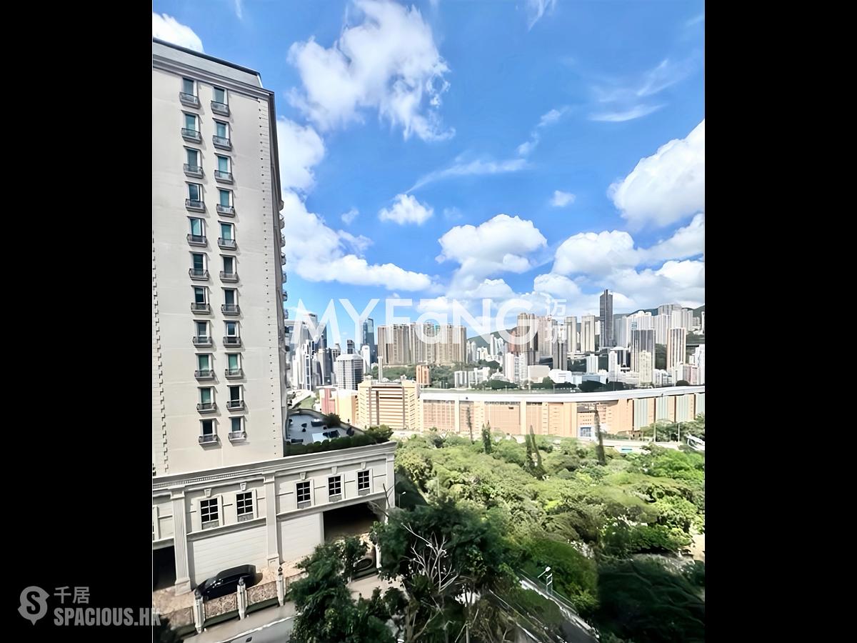 司徒拔道 - 嘉苑 01