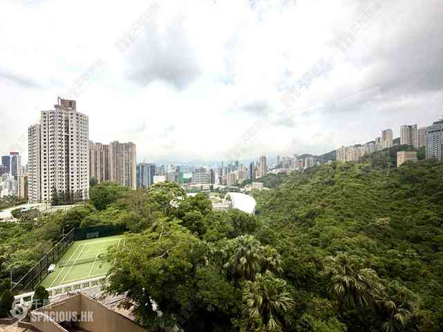 Happy Valley - Broadwood Park 02