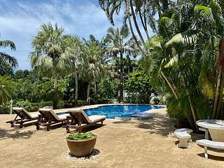 Phuket - The Palm House 04
