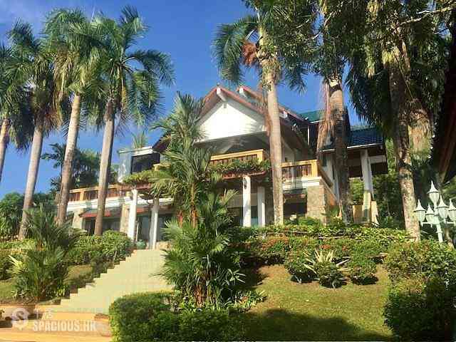 Phuket - The Palm House 01
