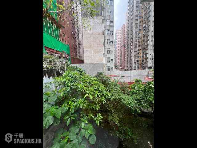 北角 - 明园西街14号 13