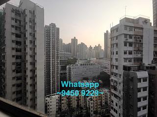 Sheung Wan - Urbana 38 05