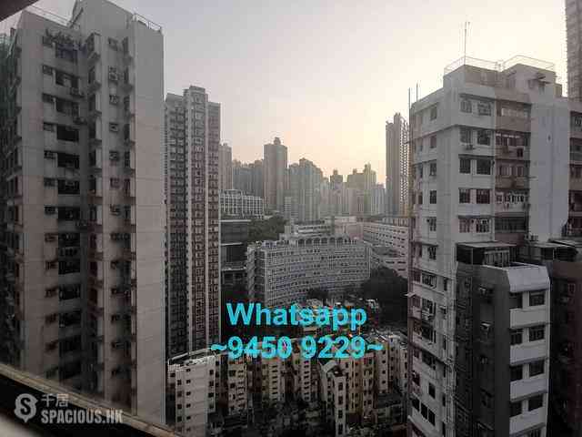 Sheung Wan - Urbana 38 05