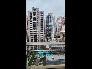 Sai Ying Pun - Island Crest 06