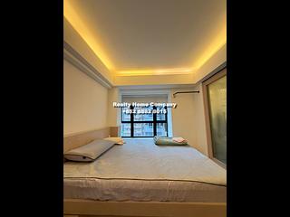 Poho - Rich View Terrace 02