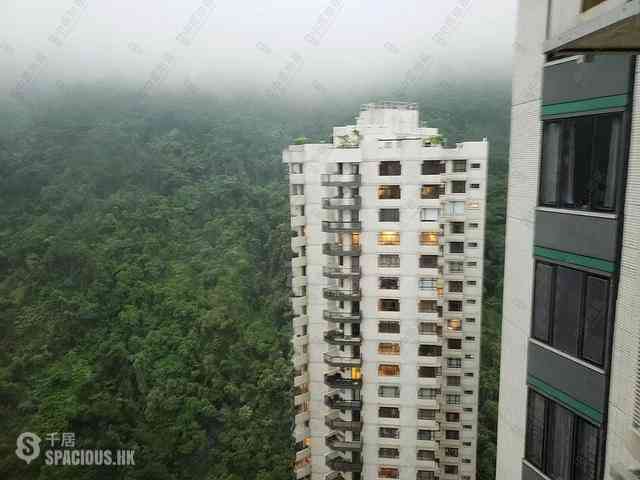 Mid Levels Central - Tregunter Tower 3 18