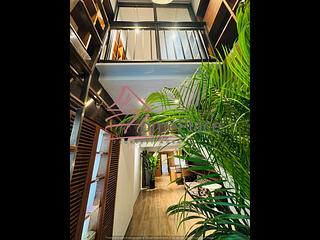 Poho - 19, New Street 15