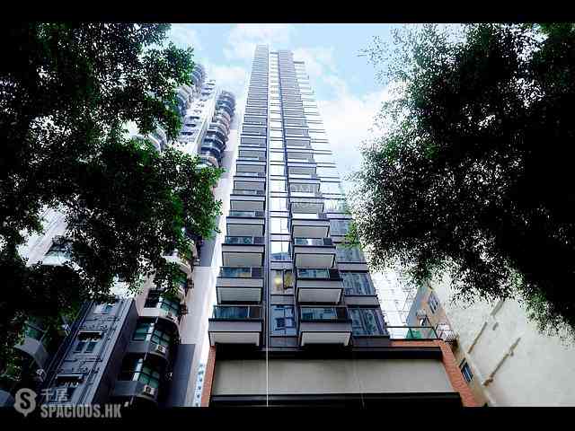 Shek Tong Tsui - The Hilltop 02