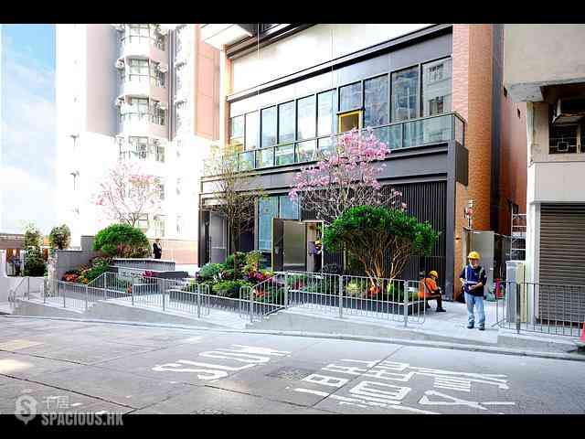 Shek Tong Tsui - The Hilltop 21
