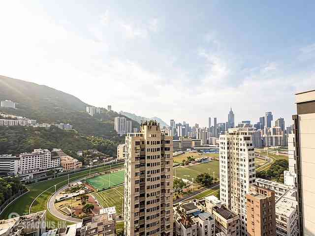 Happy Valley - Ventris Place 12