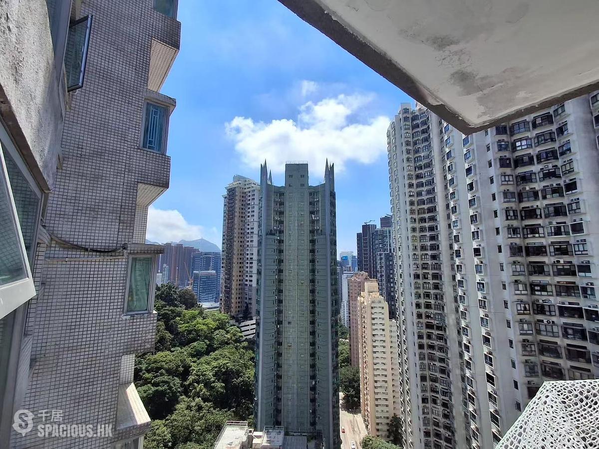 大坑 - 帝后臺 01