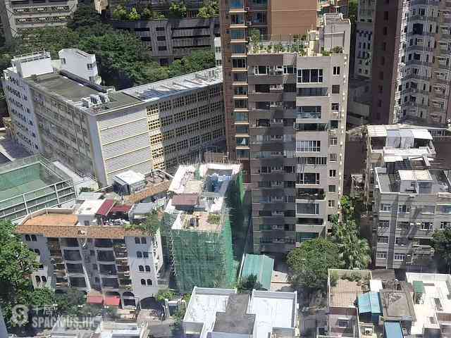 大坑 - 帝后台 02