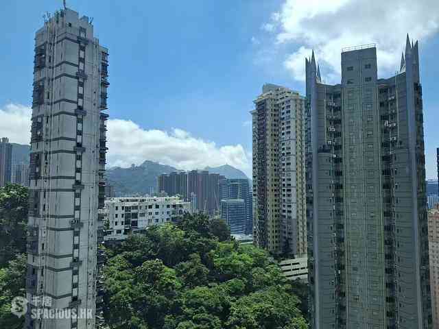 大坑 - 帝后台 03