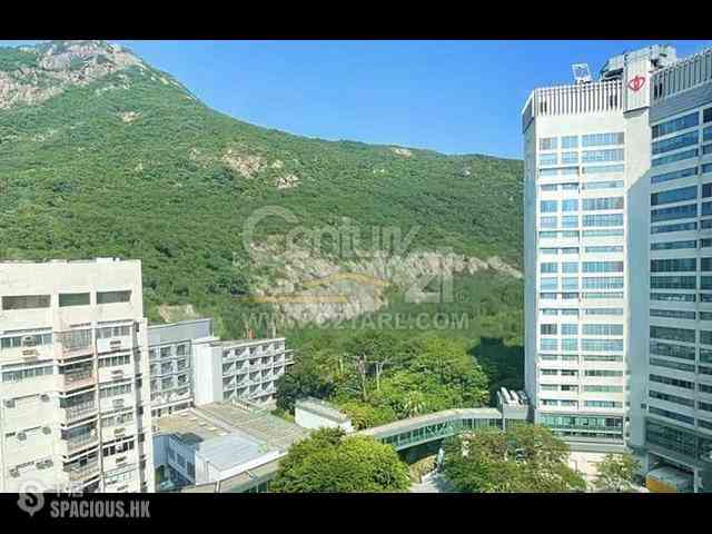 Pok Fu Lam - Royalton 11