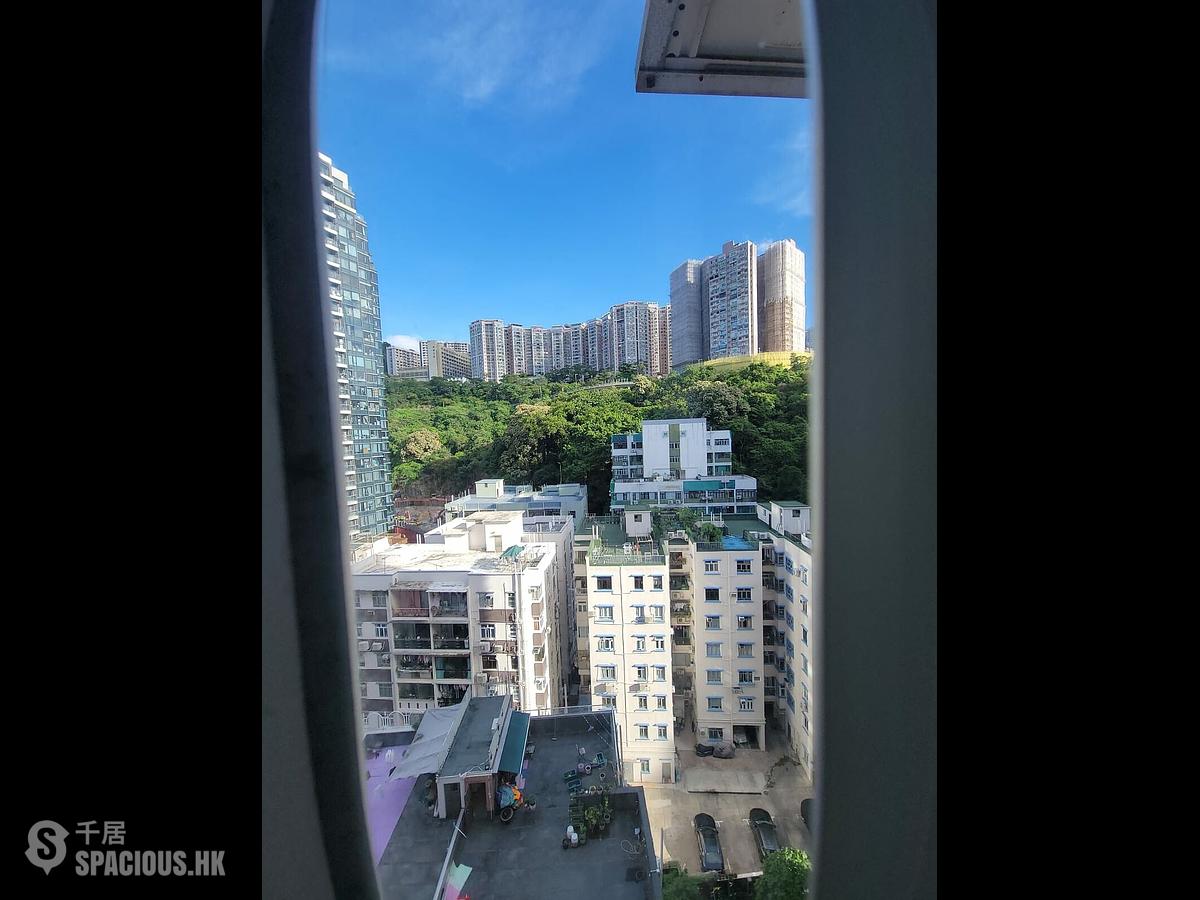 北角 - 友福园 01