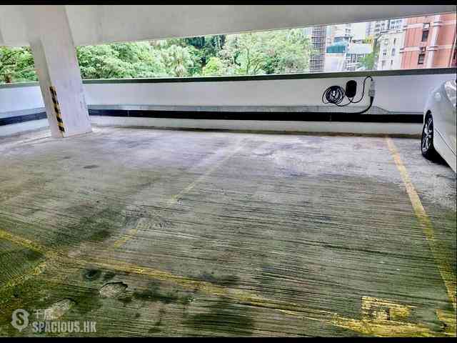 中半山 - 殷樺花園 18