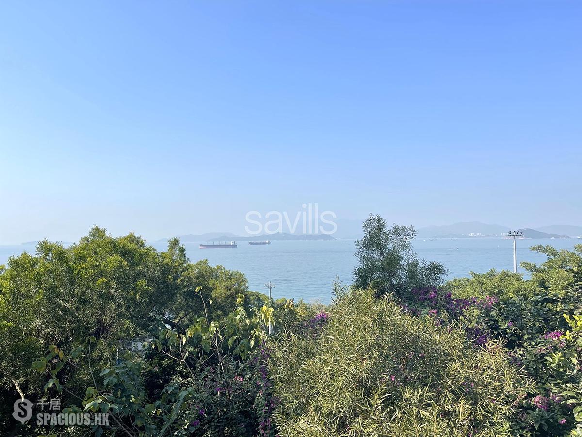 Pok Fu Lam - Pine Grove 01
