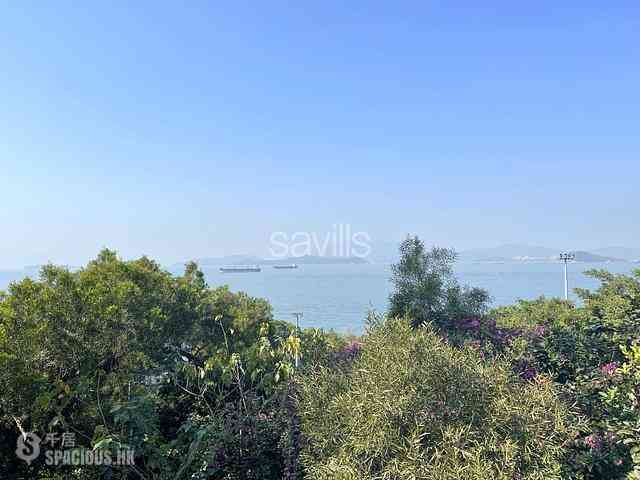 Pok Fu Lam - Pine Grove 01
