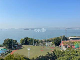 Pok Fu Lam - Pine Grove 03