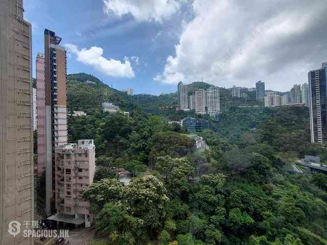 Wan Chai - Star Crest Block 1 10