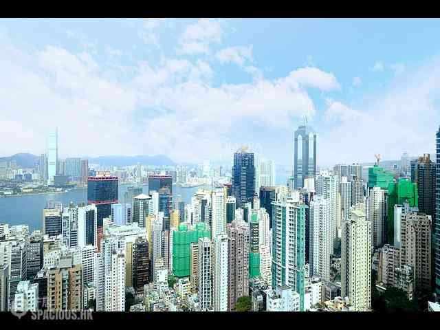 西半山 - 罗便臣道80号 26