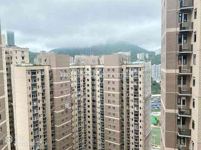 跑馬地 - 比華利山 07