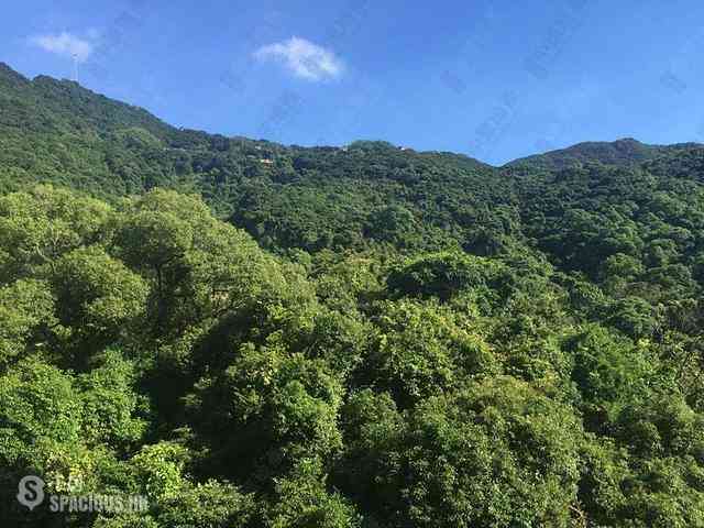 西半山 - 杏彤苑 08