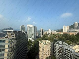 中半山 - 寶樺臺 03