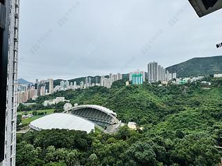 跑马地 - 乐陶苑C座 08