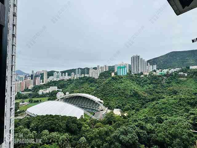 跑马地 - 乐陶苑C座 08