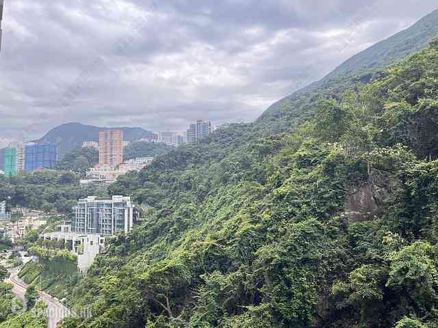 司徒拔道 - 嘉苑C座 03
