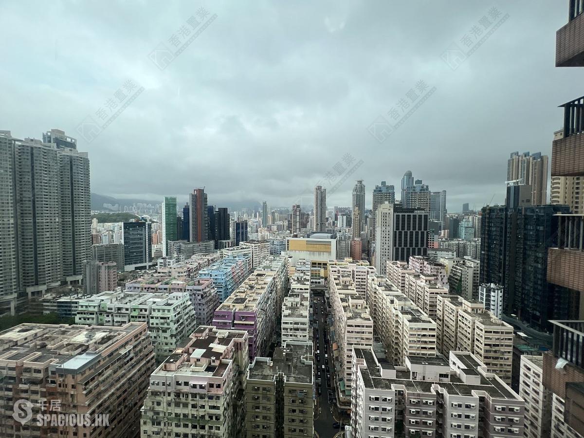 Tai Kok Tsui - Harbour Green Tower 3 01