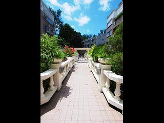 Stanley - Parisian 14