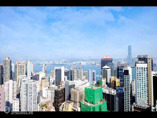 苏豪 - 东盛台 23